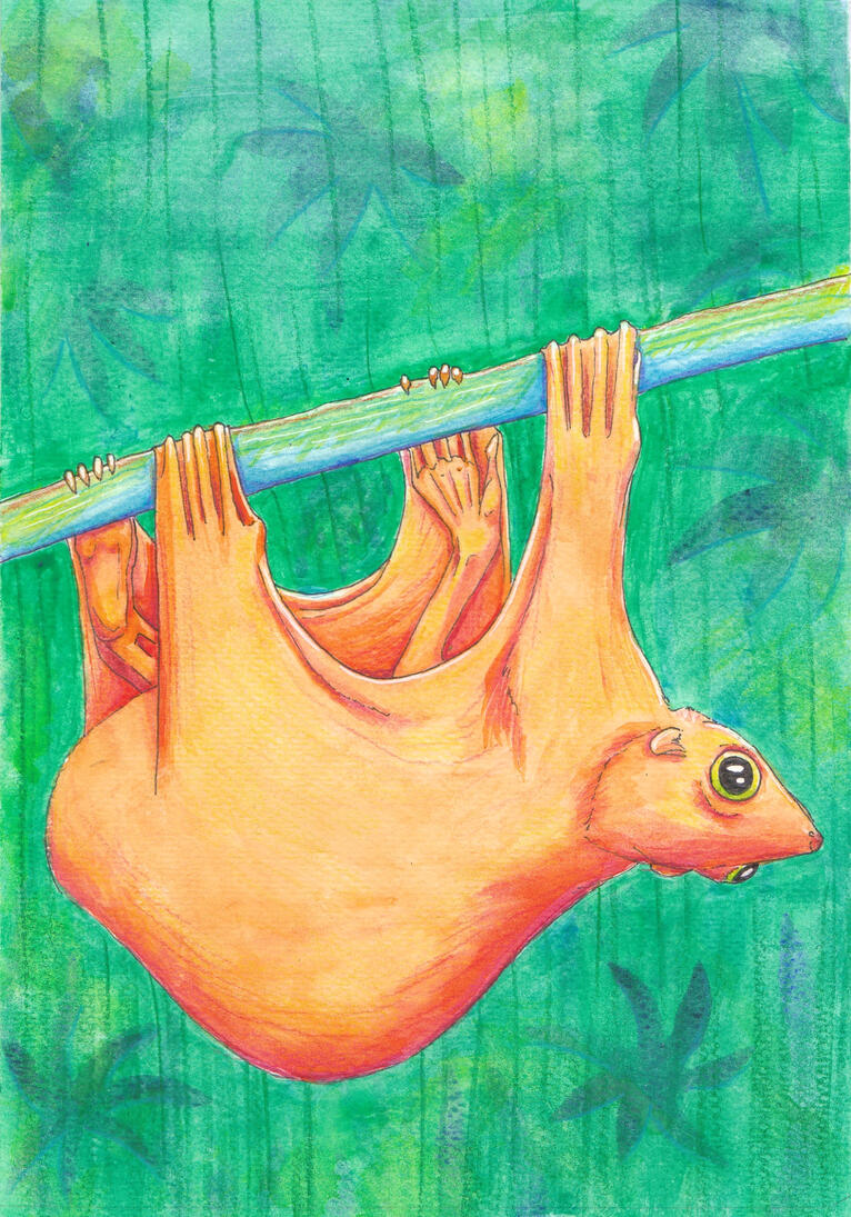Untitled Untitled